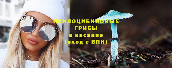 трава Балабаново